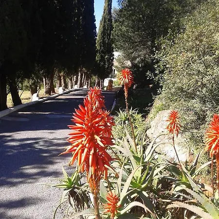 Villa Los Angelitos Marbella
